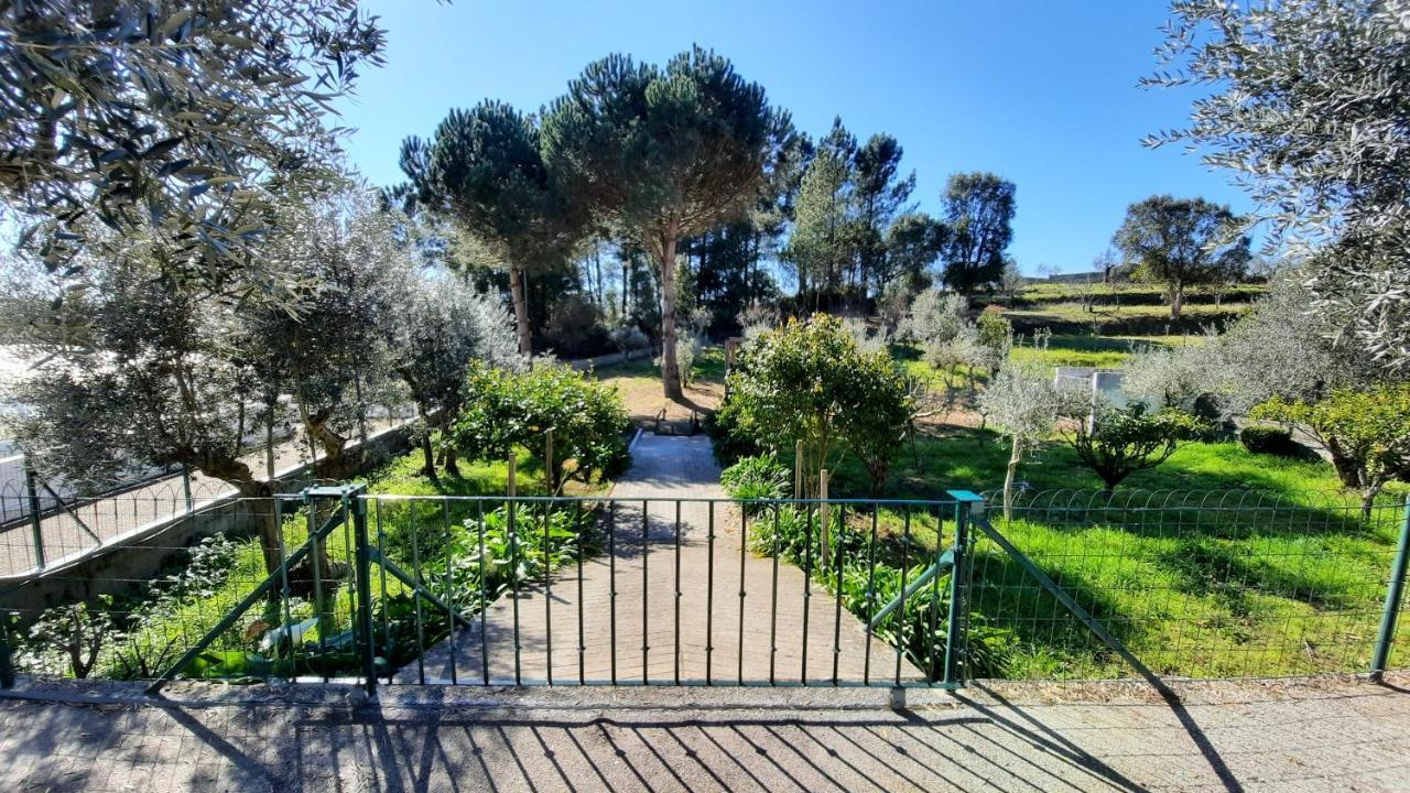 Casa Jone Villa Tomar Exteriör bild
